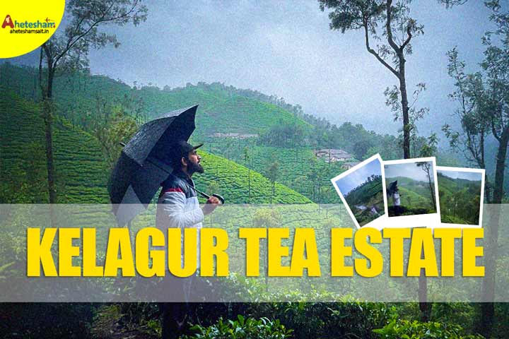 Kelagur Tea Estate