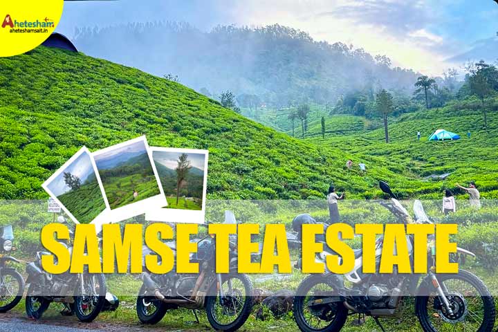 Samse Tea Estate
