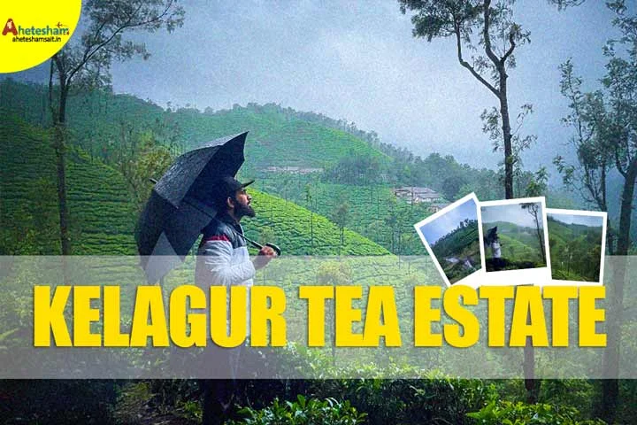 Kelagur Tea Estate